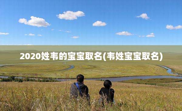 2020姓韦的宝宝取名(韦姓宝宝取名)