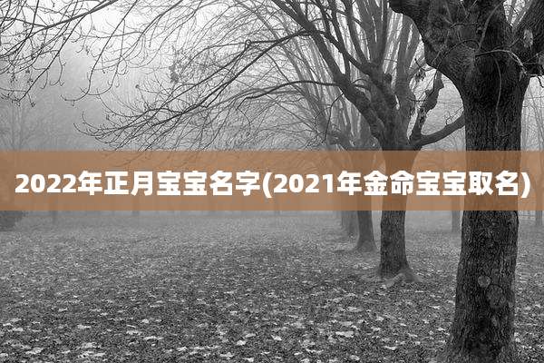 2022年正月宝宝名字(2021年金命宝宝取名)
