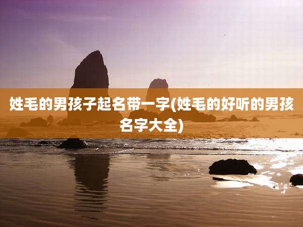 姓毛的男孩子起名带一字(姓毛的好听的男孩名字大全)