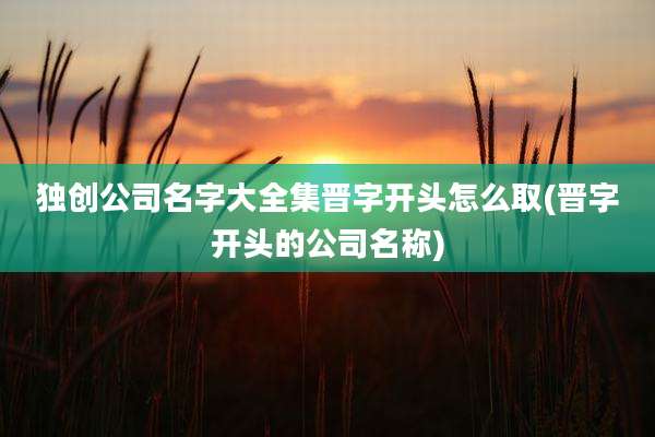 独创公司名字大全集晋字开头怎么取(晋字开头的公司名称)