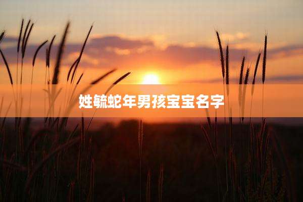 姓毓蛇年男孩宝宝名字