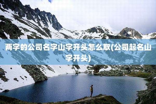 两字的公司名字山字开头怎么取(公司起名山字开头)