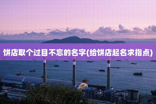 饼店取个过目不忘的名字(给饼店起名求指点)
