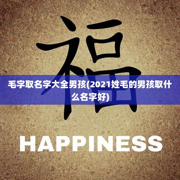 毛字取名字大全男孩(2021姓毛的男孩取什么名字好)