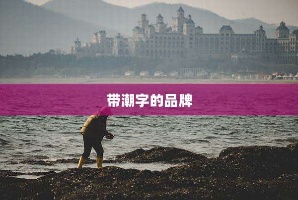带潮字的品牌