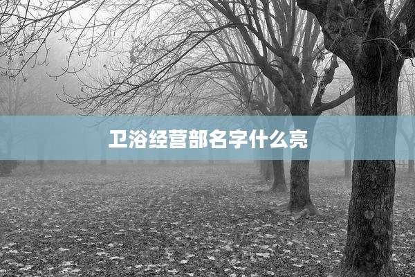 卫浴经营部名字什么亮