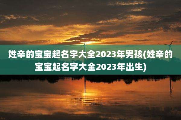 姓辛的宝宝起名字大全2023年男孩(姓辛的宝宝起名字大全2023年出生)