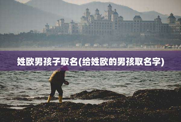 姓欧男孩子取名(给姓欧的男孩取名字)