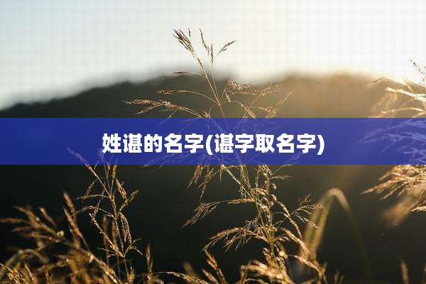 姓谌的名字(谌字取名字)