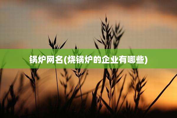 锅炉网名(烧锅炉的企业有哪些)