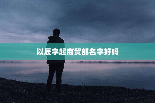 以辰字起商贸部名字好吗