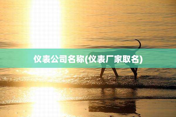 仪表公司名称(仪表厂家取名)