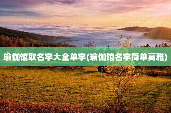 瑜伽馆取名字大全单字(瑜伽馆名字简单高雅)