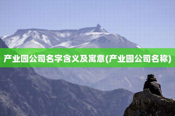 产业园公司名字含义及寓意(产业园公司名称)