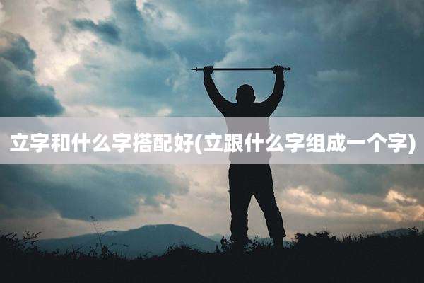 立字和什么字搭配好(立跟什么字组成一个字)