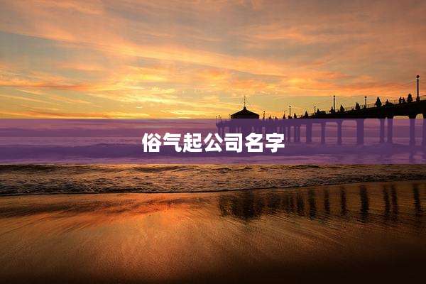 俗气起公司名字