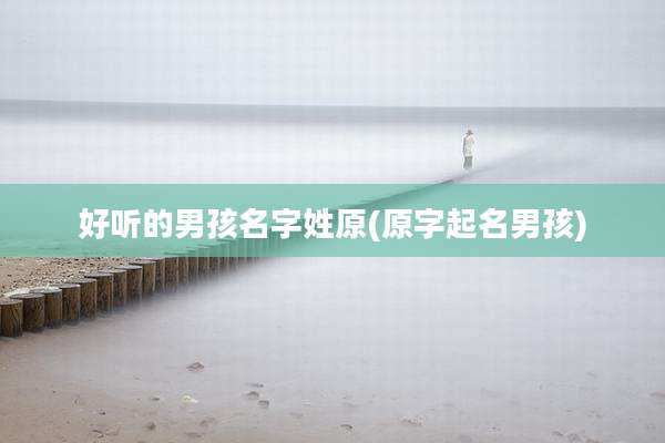 好听的男孩名字姓原(原字起名男孩)