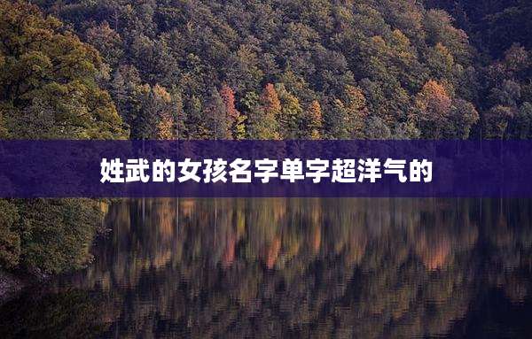 姓武的女孩名字单字超洋气的