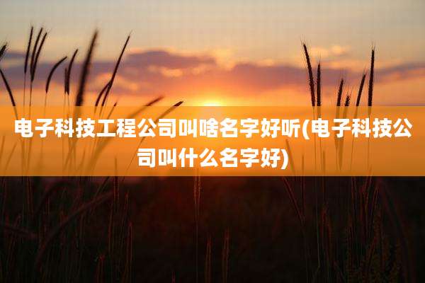 电子科技工程公司叫啥名字好听(电子科技公司叫什么名字好)