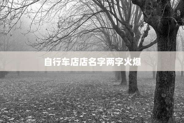 自行车店店名字两字火爆