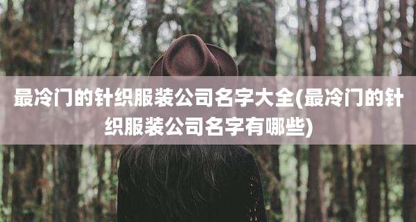 最冷门的针织服装公司名字大全(最冷门的针织服装公司名字有哪些)