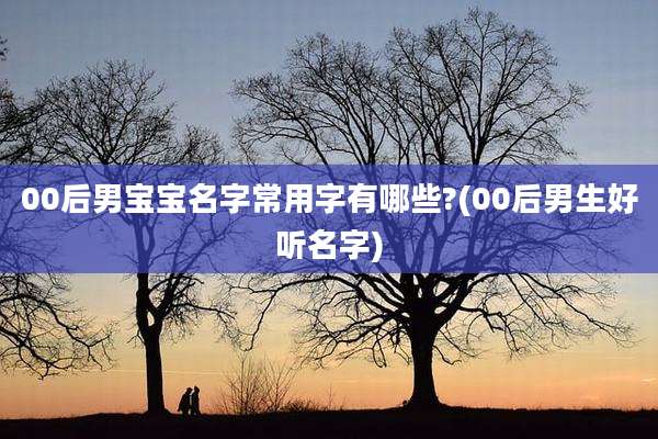 00后男宝宝名字常用字有哪些?(00后男生好听名字)