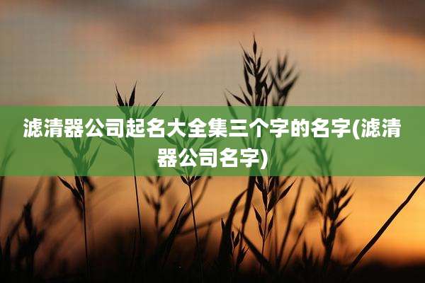 滤清器公司起名大全集三个字的名字(滤清器公司名字)