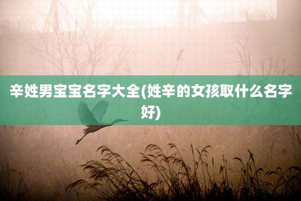 辛姓男宝宝名字大全(姓辛的女孩取什么名字好)