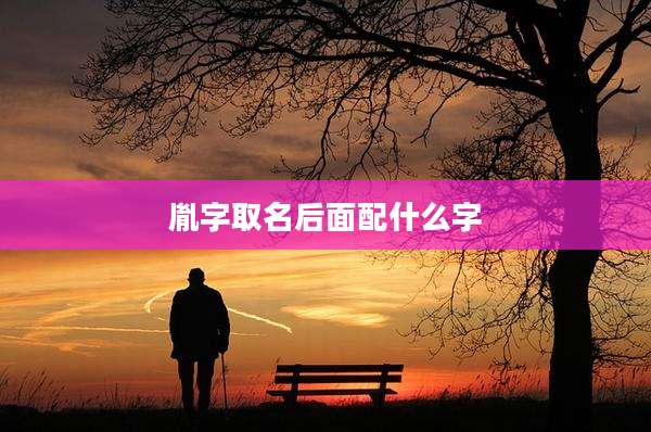 胤字取名后面配什么字
