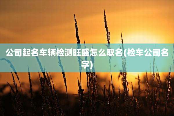 公司起名车辆检测旺盛怎么取名(检车公司名字)