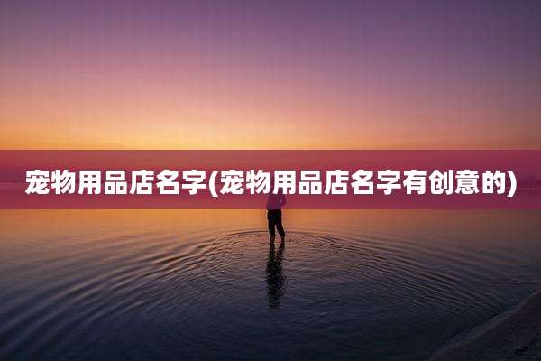 宠物用品店名字(宠物用品店名字有创意的)