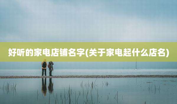 好听的家电店铺名字(关于家电起什么店名)