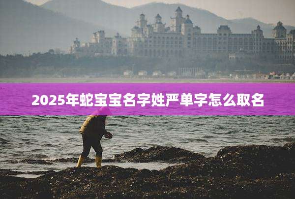 2025年蛇宝宝名字姓严单字怎么取名