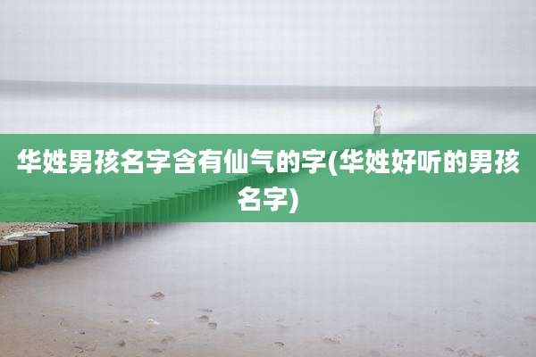 华姓男孩名字含有仙气的字(华姓好听的男孩名字)