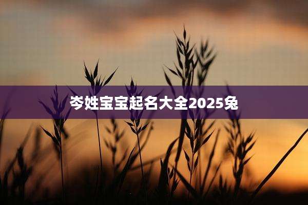 岑姓宝宝起名大全2025兔