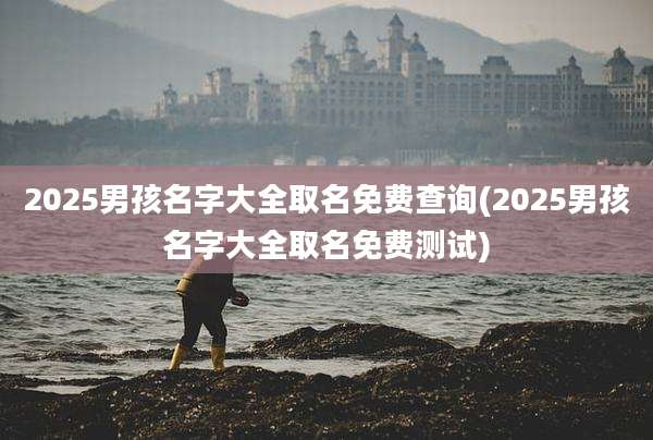 2025男孩名字大全取名免费查询(2025男孩名字大全取名免费测试)