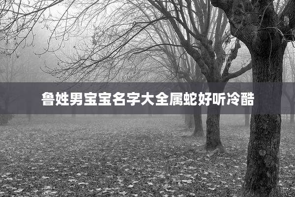 鲁姓男宝宝名字大全属蛇好听冷酷