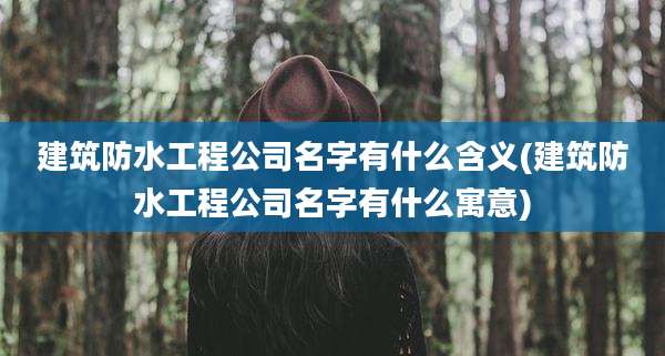 建筑防水工程公司名字有什么含义(建筑防水工程公司名字有什么寓意)