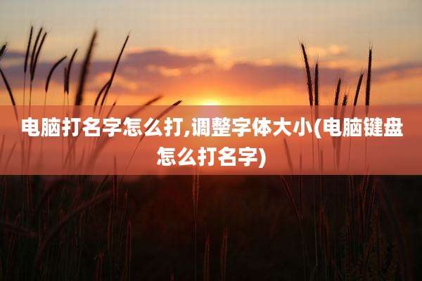 电脑打名字怎么打,调整字体大小(电脑键盘怎么打名字)