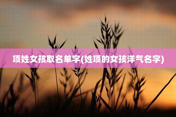 项姓女孩取名单字(姓项的女孩洋气名字)