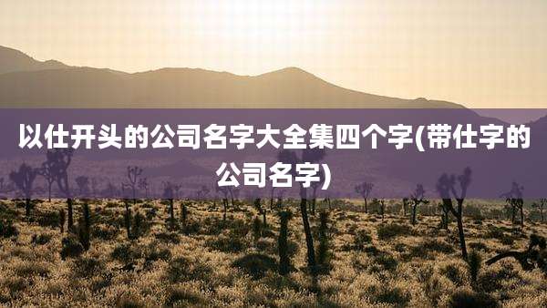 以仕开头的公司名字大全集四个字(带仕字的公司名字)