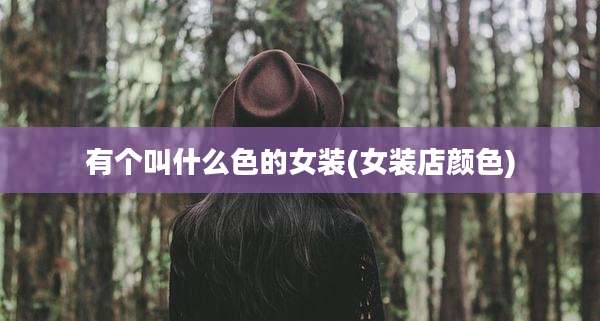 有个叫什么色的女装(女装店颜色)