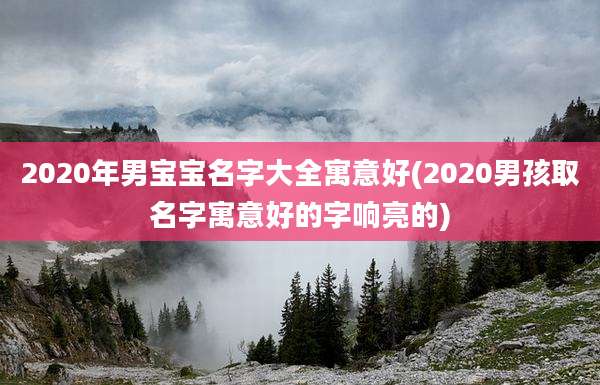 2020年男宝宝名字大全寓意好(2020男孩取名字寓意好的字响亮的)