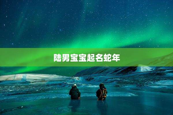 陆男宝宝起名蛇年