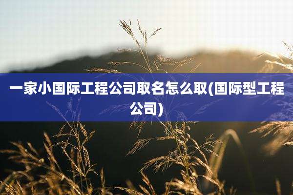 一家小国际工程公司取名怎么取(国际型工程公司)