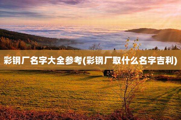 彩钢厂名字大全参考(彩钢厂取什么名字吉利)
