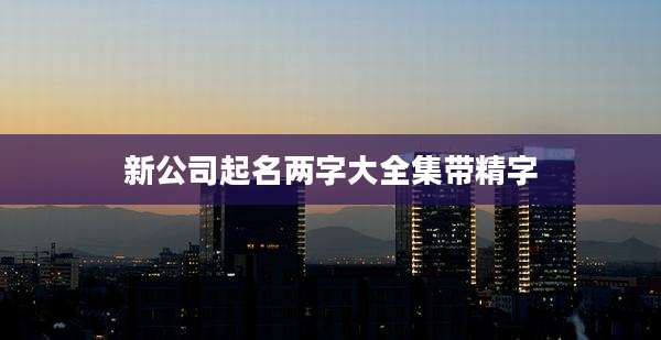 新公司起名两字大全集带精字