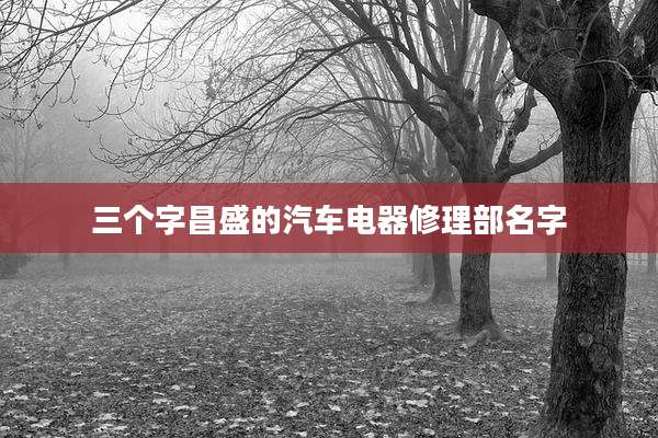 三个字昌盛的汽车电器修理部名字