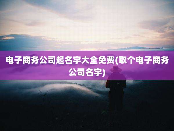 电子商务公司起名字大全免费(取个电子商务公司名字)