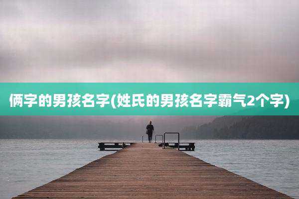 俩字的男孩名字(姓氏的男孩名字霸气2个字)